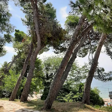 Διαμέρισμα Zaton Zaton (Zadar)
