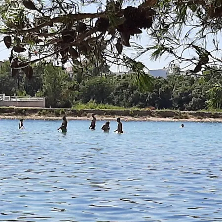 Zaton Διαμέρισμα